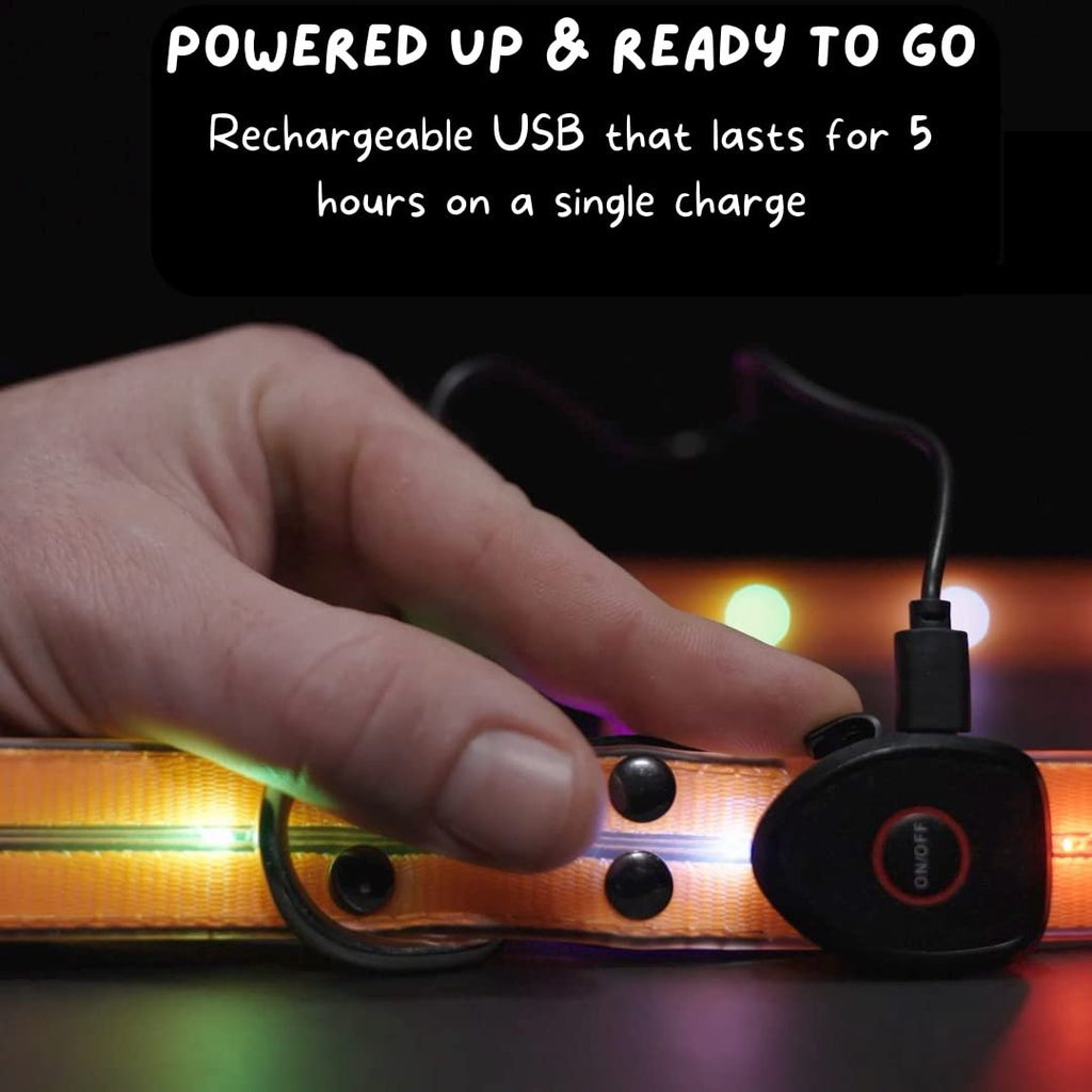 Flash Pet Led Dog Leash Safety Light with Maximum Visibility Up to 1100 Ft