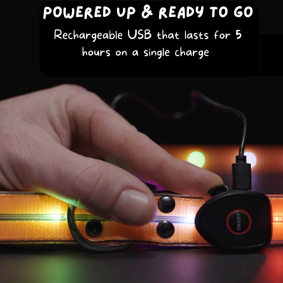 Flash Pet Led Dog Leash Safety Light with Maximum Visibility Up to 1100 Ft