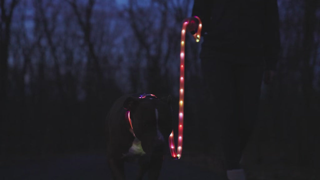 Flash Pet Led Dog Leash Safety Light with Maximum Visibility Up to 1100 Ft