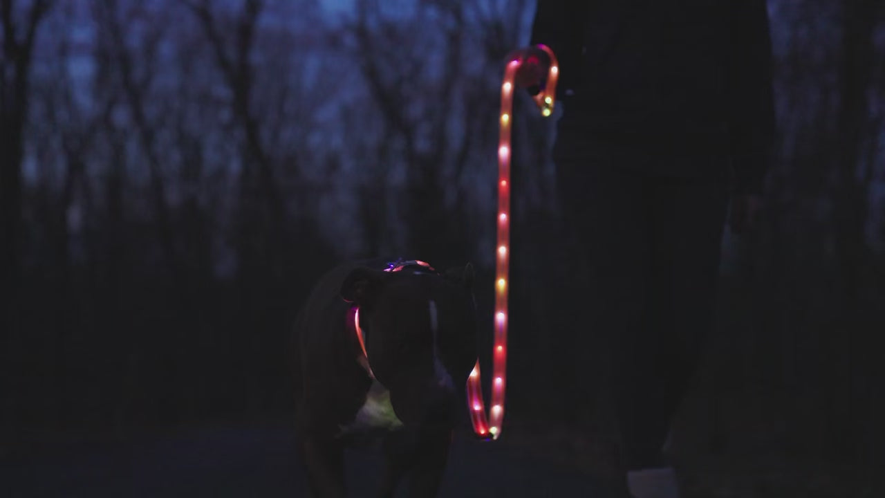 Flash Pet Led Dog Leash Safety Light with Maximum Visibility Up to 1100 Ft